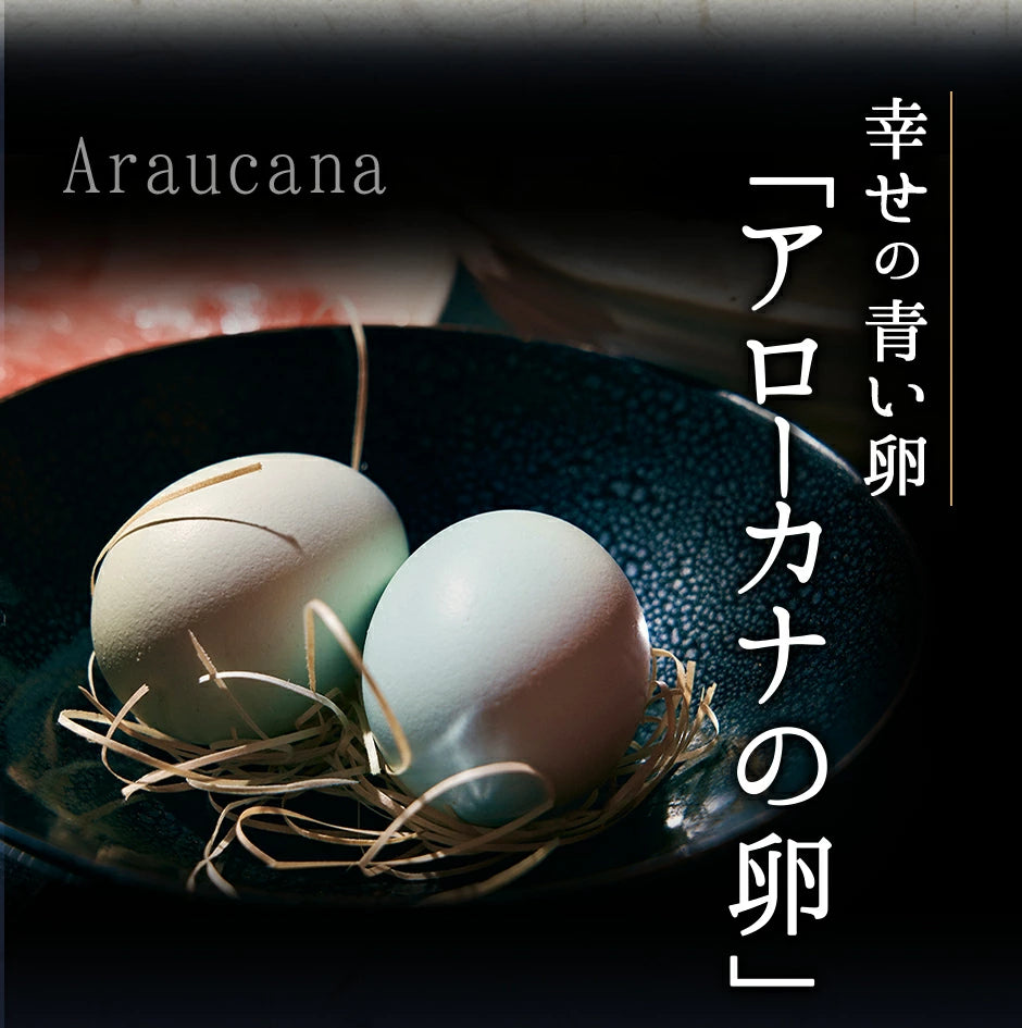 黒毛和牛 A5 すき焼き セット 野菜 450g【化粧箱入り】霜降り もも 2